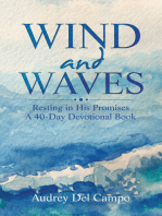 Wind and Waves: Resting in His Promises A 40 Day Devotional Book