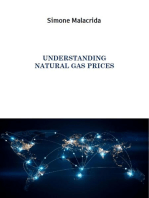 Understanding Natural Gas Prices
