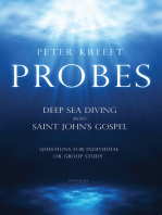 Probes: Deep Sea Diving into Saint John's Gospel: Questions for Individual or Group Study
