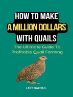 How To Make A Million Dollars With Quails