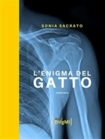 L'enigma del gatto