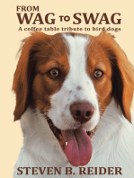 From Wag to Swag: A Coffee Table Tribute to Bird Dogs