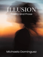 Illusion: When Love is a Lie, #1