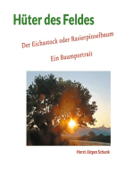 Hüter des Feldes: Der Eichastock oder Rasierpinselbaum - Ein Baumportrait