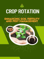 Crop Rotation 