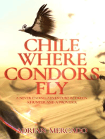 Chile Where Condors Fly
