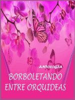 Borboletando Entre Orquideas