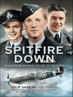 Spitfire Down: Fighter Boys Who Failed to Return
