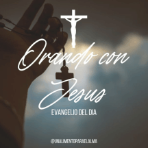 Evangelio Del Día Del Hoy -Un Alimento Para El Alma