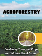 Agroforestry 