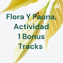 Flora Y Fauna, Actividad 1 Bonus Tracks
