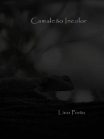 Camaleão Incolor