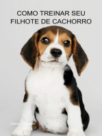 Como Treinar Seu Filhote De Cachorro