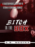Bitch in the Box