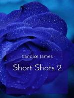 Short Shots 2