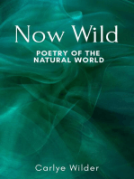 Now Wild: Poetry of the Natural World