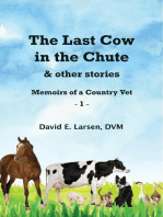 The Last Cow in the Chute & Other Stories