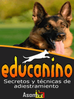Educanino: secretos y técnicas de adiestramiento canino