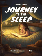 Journey to the Sleep