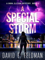 A Special Storm: Dora Ellison Mystery Series, #5