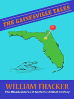 The Gainesville Tales