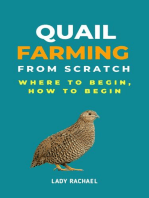 Quail Farming From Scratch