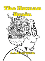 The Human Brain