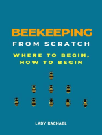 Beekeeping From Scratch: Where To Begin, How To Begin