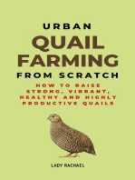 Urban Quail Farming From Scratch: How To Raise Strong, Vibrant, Healthy And Highly Productive Quails