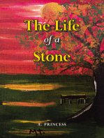 The Life of a Stone