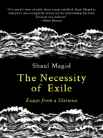 The Necessity of Exile: Essays from a Distance