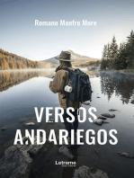 Versos andariegos