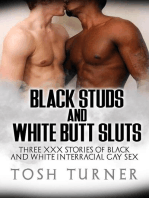 Black Studs and White Butt Sluts: Three XXX Stories of Black and White Interracial Gay Sex