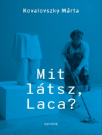 Mit látsz Laca?: Kollektív önéletrajz