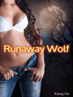 Runaway Wolf