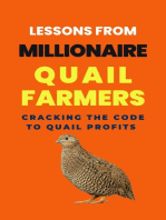 Lessons From Millionaire Quail Farmers