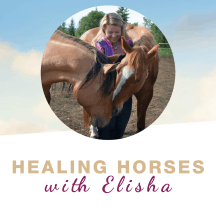 Healing Horses with Elisha