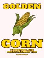 Golden Corn - Gardening And Urban Farming Tips