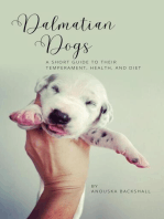 Dalmatian Dogs: A Short Guide to Their Temperament, Health, and Diet