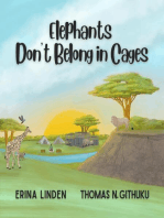 Elephants Don't Belong in Cages