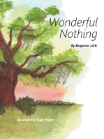 Wonderful Nothing