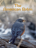 The American Robin