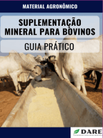 Suplementação Mineral De Bovinos