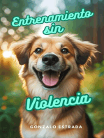 Entrenamiento sin Violencia