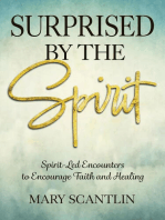 Surprised by the Spirit: Spirit-Led Encounters to Encourage Faith and Healing