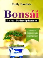 Bonsái para Principiantes: El Placer del Bonsái: Cultivar, Modelar y Exhibir Sus Propias  Obras de Arte Vivientes