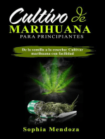 Cultivo de Marihuana Para Principiantes: DE LA SEMILLA A LA COSECHA: CULTIVAR MARIHUANA CON FACILIDAD