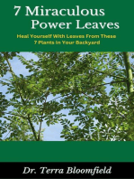 7 Miraculous Power Leaves