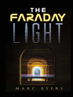 The Faraday Light