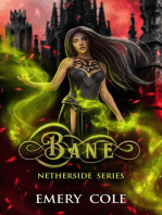 Bane: Netherside, #2